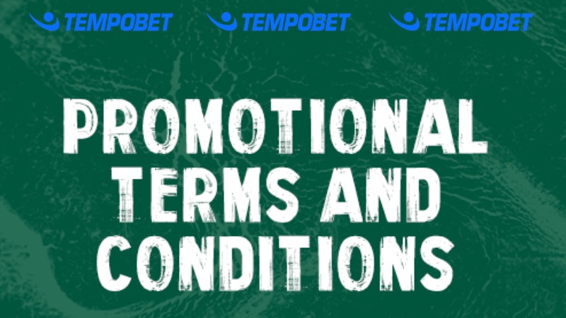 Promotion Terms and Conditions